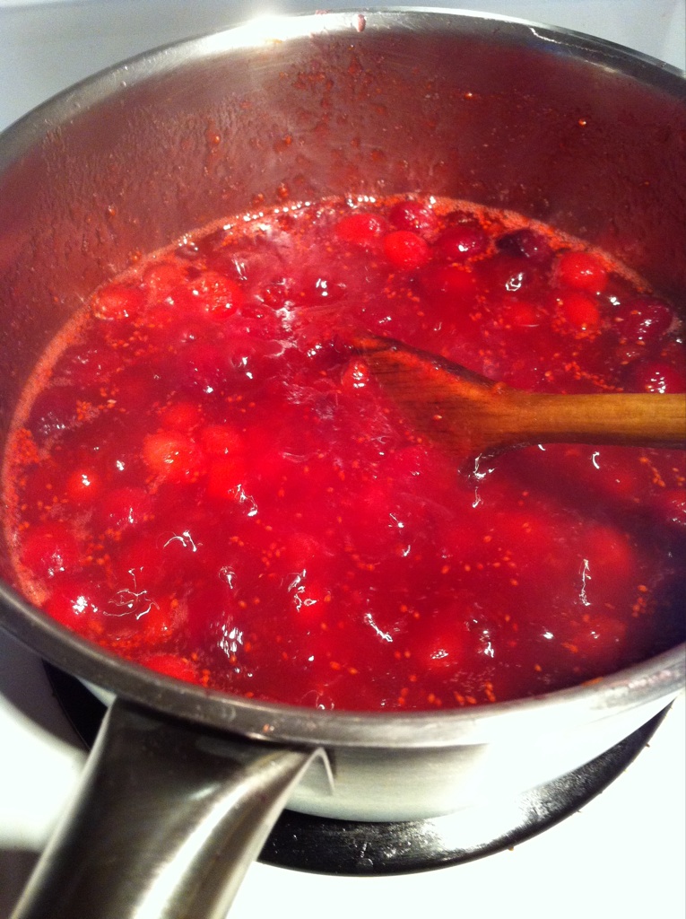 'splort! bubble! splatter! I'm ginger cranberry sauce and I'm all over your stove!'